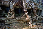 Preah Khan temple - east gopura of the third enclosure, monumental silk-cotton trees.